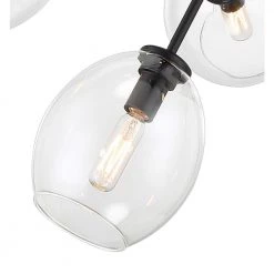 Nexpo 9-Light Coal Cluster Chandelier with Clear Glass Shades by George Kovacs -ETi Sales coal george kovacs chandeliers p1369 66a 4f 1000