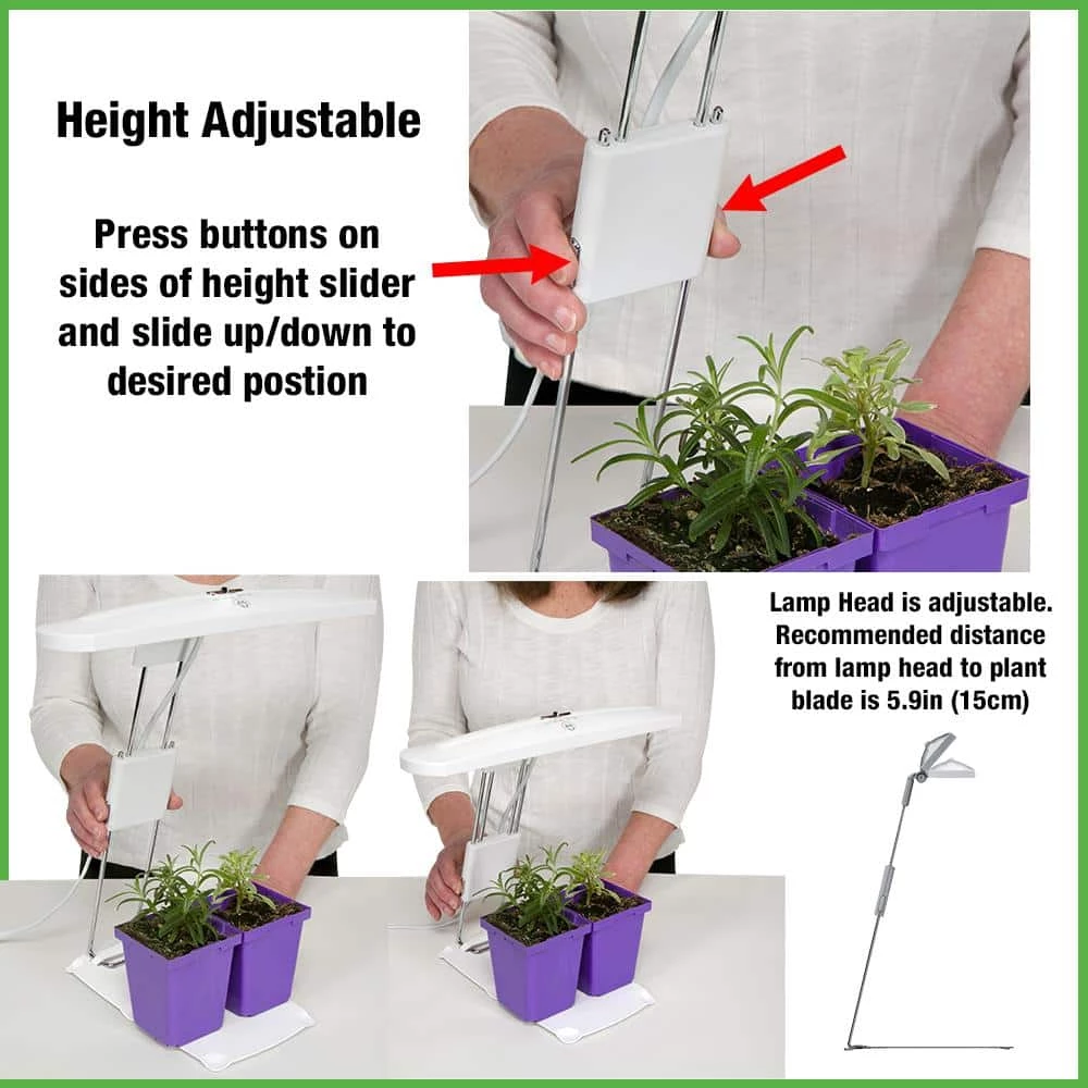 GrowElite Tabletop LED Plant Grow Light Indoor Gardening Full Spectrum Herbs Flowers Small Plants Soft White by ETi 3 GrowElite Tabletop LED Plant Grow Light Indoor Gardening Full Spectrum Herbs Flowers Small Plants Soft White by ETi - Image 3