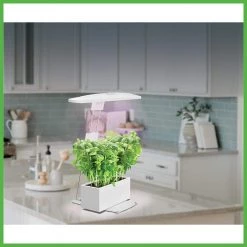 GrowElite Tabletop LED Plant Grow Light Indoor Gardening Full Spectrum Herbs Flowers Small Plants Soft White by ETi 20 GrowElite Tabletop LED Plant Grow Light Indoor Gardening Full Spectrum Herbs Flowers Small Plants Soft White by ETi -ETi Sales eti grow light kits 554231110 44 1000