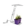 GrowElite Tabletop LED Plant Grow Light Indoor Gardening Full Spectrum Herbs Flowers Small Plants Soft White by ETi