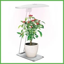 GrowElite Tabletop LED Plant Grow Light Indoor Gardening Full Spectrum Herbs Flowers Small Plants Soft White by ETi 17 GrowElite Tabletop LED Plant Grow Light Indoor Gardening Full Spectrum Herbs Flowers Small Plants Soft White by ETi -ETi Sales eti grow light kits 554231110 c3 1000