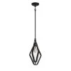 Traveler 4-Light Coal and Brushed Nickel Pendant by George Kovacs