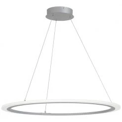 Discovery 75-Watt Equivalence Silver Integrated LED Pendant by George Kovacs